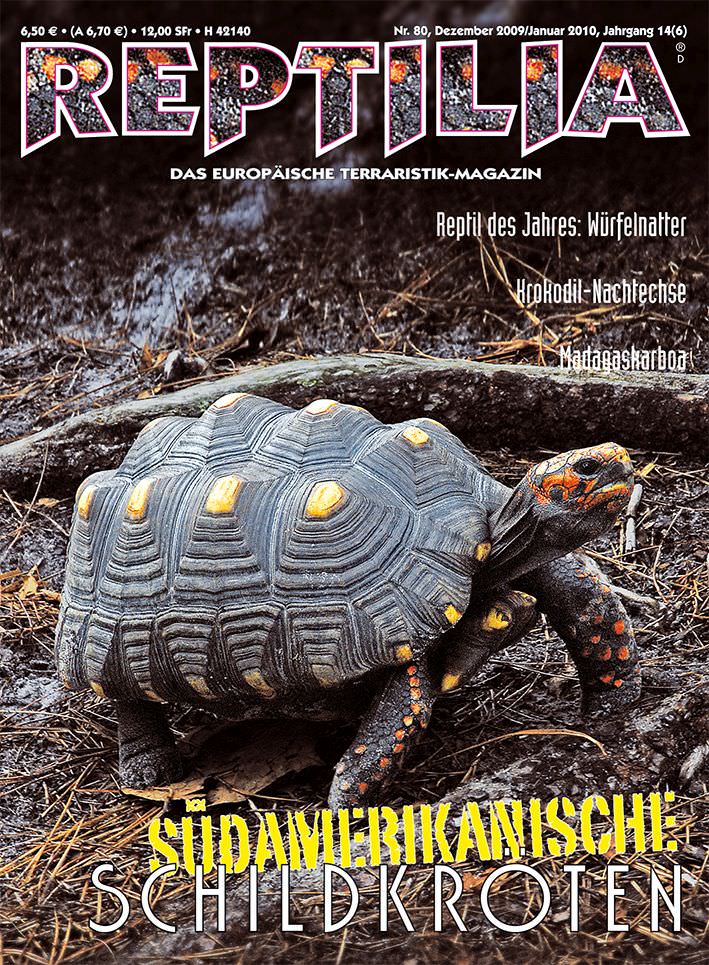 Reptilia 80 - Südamerikanische Schildkröten