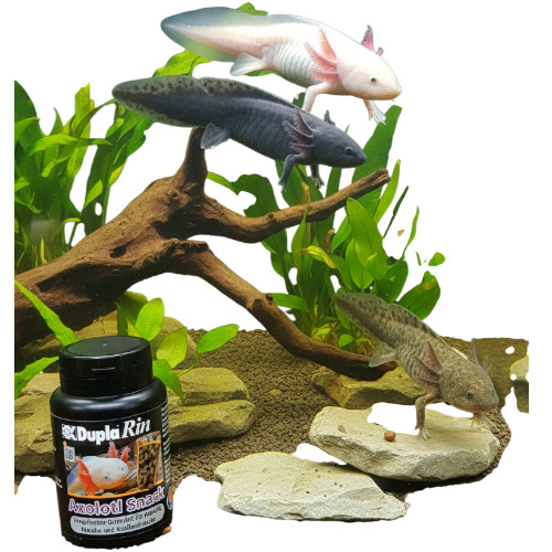Aquarium avec axolotl et boîte de snacks DuplaRin Axolotl au premier plan.