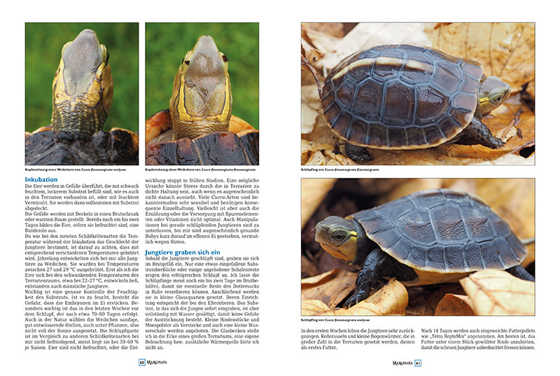 Marginata 45 - Die Schildkröten des Indischen Subkontinents