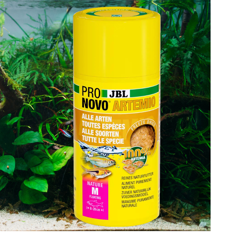 JBL ProNovo Artemio Nature M 