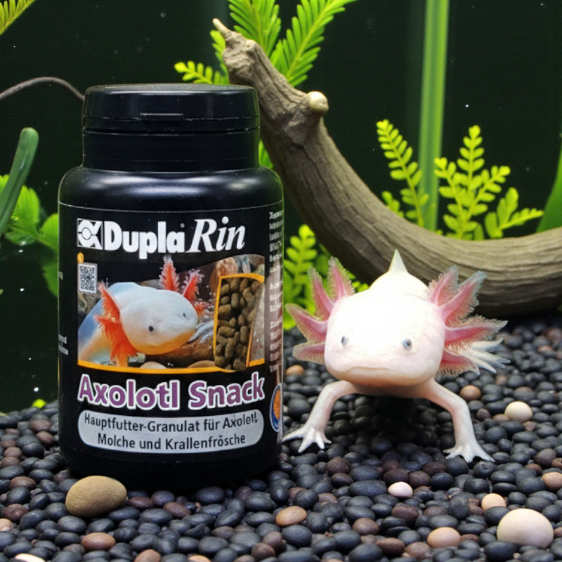 Ein Axolotl neben einer Dose DuplaRin Axolotl Snack, beides steht auf dunklen Kieselsteinen vor einer Wasserpflanze.