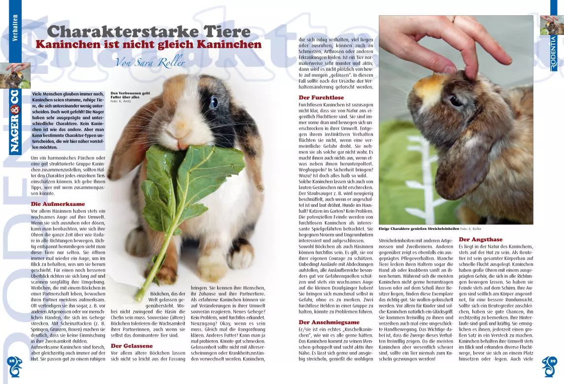 rodentia-91-zwerghamster-als-heimtiere-3 Rodentia 91 - Zwerghamster als Heimtiere