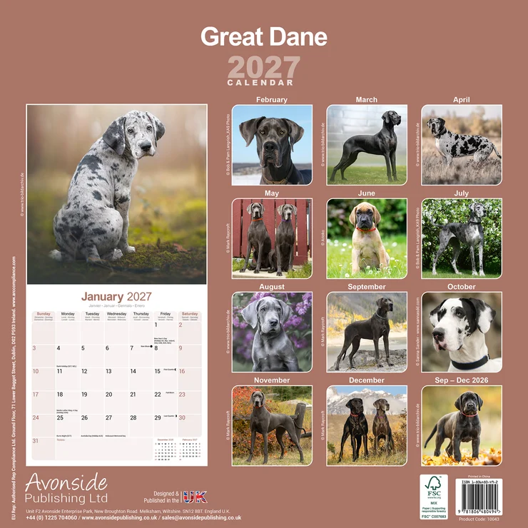 Kalender 2027 Deutsche Dogge - Great Dane