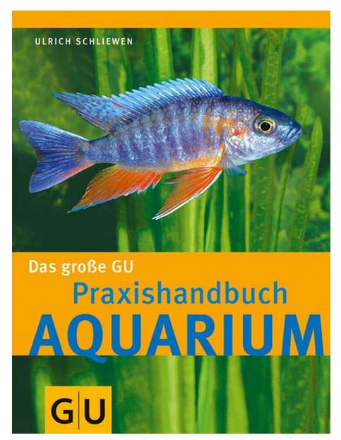 Mein Aquarium