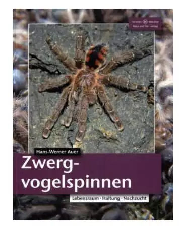NTV - Zwergvogelspinnnen