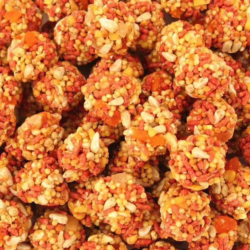 Nutri Berries Tropische Früchte für Gross-Sittiche