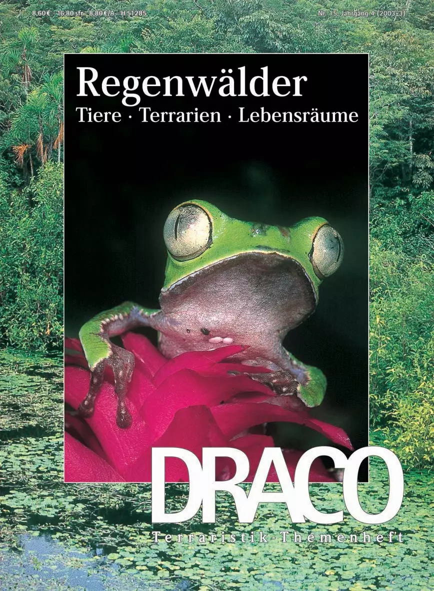 Draco 15 - Regenwälder