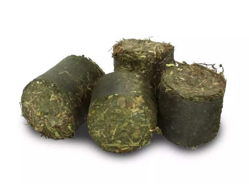 jr-farm-grainless-haut-und-fell-2 JR Farm Grainless Vital-Blocks Haut und Fell