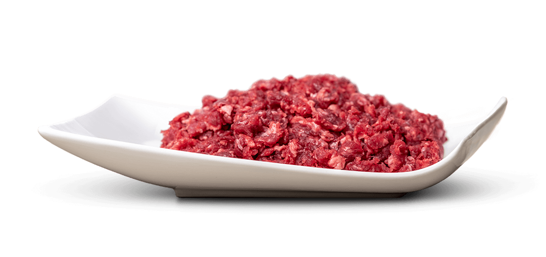 Un mucchietto di carne macinata cruda rossastra, con sottili pezzetti di grasso, è disposto al centro di un elegante piatto allungato in ceramica bianca. Il piatto ha bordi leggermente ricurvi su sfondo bianco con ombre visibili.