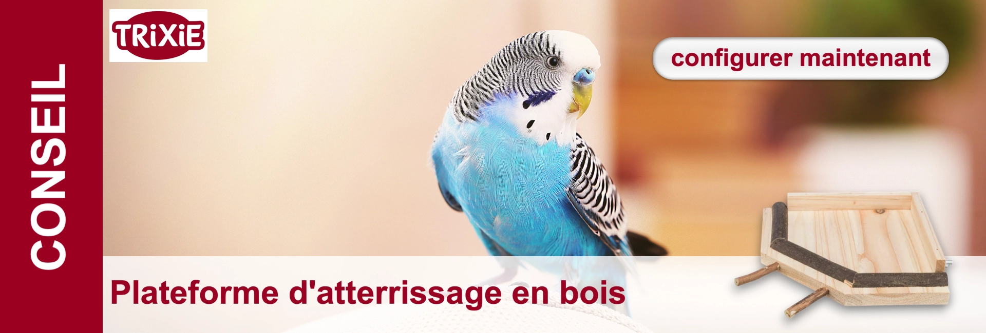 Une perruche bleue regarde vers la droite ; à l'arrière-plan, une plate-forme en bois pour les oiseaux et le texte "Configurer maintenant".
