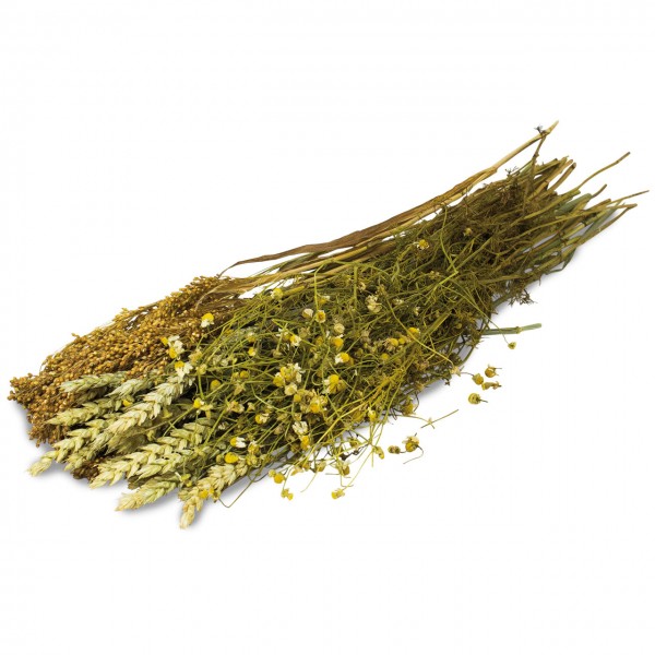 An arrangement of dried plants comprising several bundles: on the left, light brown wheat ears and golden-brown millet grains. Next to them, a larger pile of dried chamomile flowers with white petals and yellow centres, set against a white background.