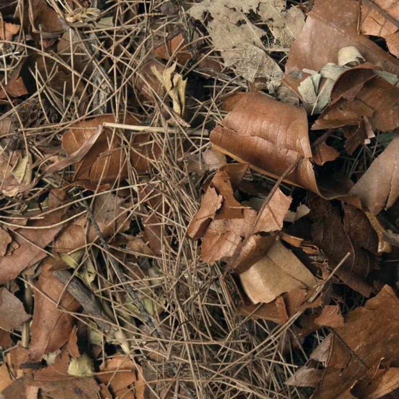 Litière de feuilles pour sol forestier 5 litres
