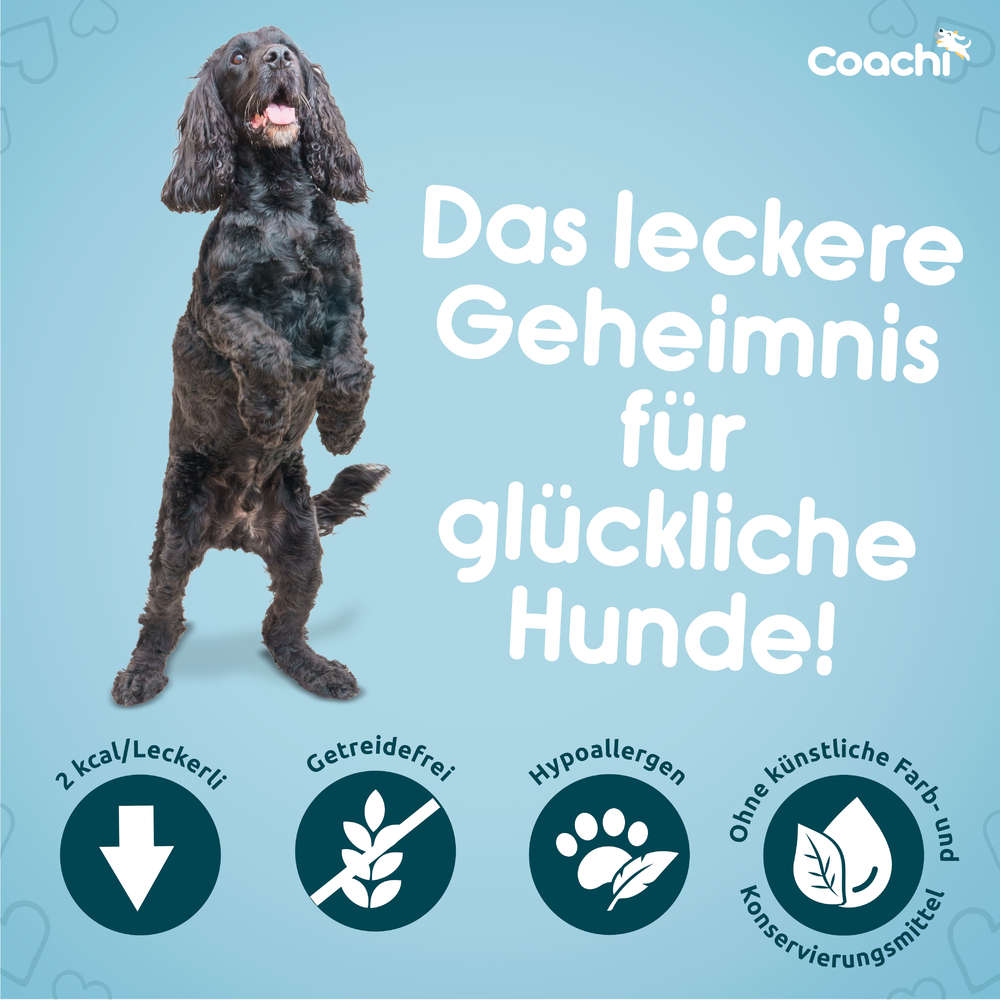 Coachi Natural - Training Treats - Ozean Fisch