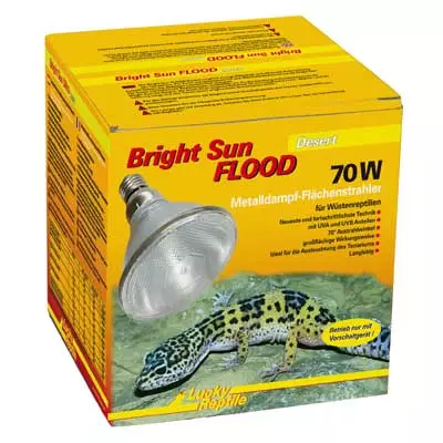 Bright Sun Flood Desert 70W