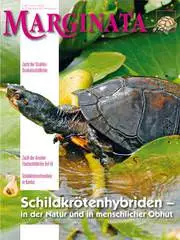 Marginata 38 - Schildkrötenhybriden