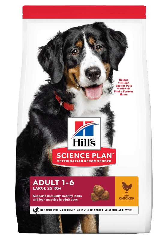 Hills Science Plan Adult Chicken Large