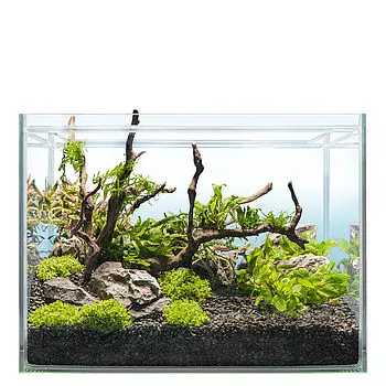 sera-scaper-cube-48l Scaper Cube Starterset