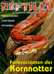 Reptilia 92 - Farbvarianten der Kornnatter