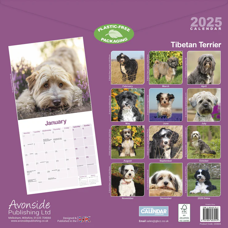 Kalender 2025 Tibet-Terrier - Tibetan Terrier