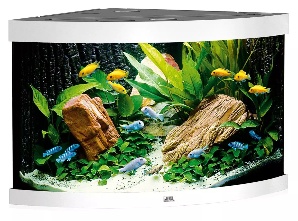 juwel-trigon-190-weiss-1 Juwel Trigon Aquarium