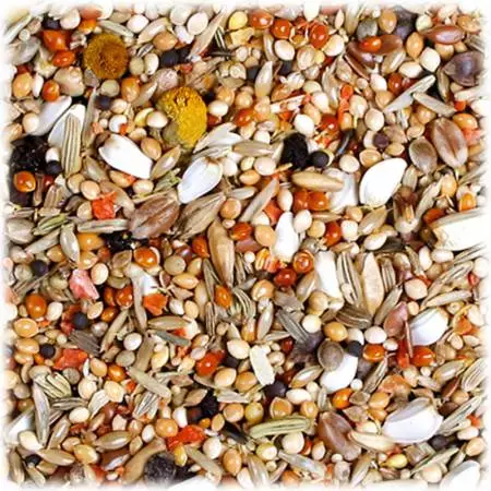 saemereien JR Birds Premium Agaporniden