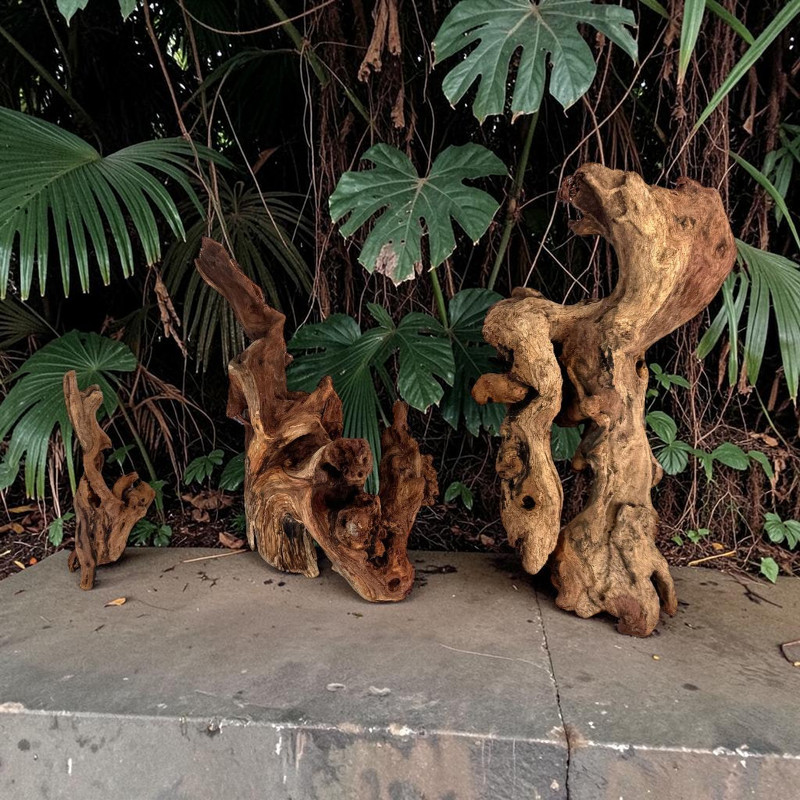 Worn Wood M