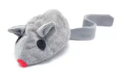 Baldi Maus 