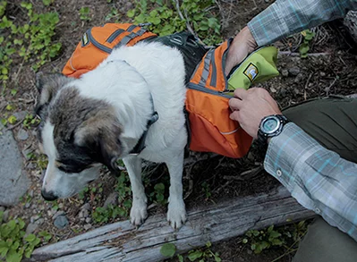 Approach Pack Campfire Orange 