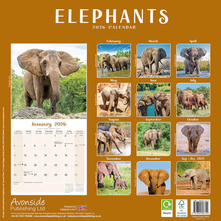 Calendar 2025 Elephants - Elephant