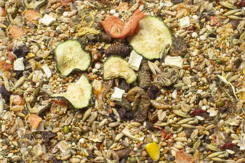 JR-Farm Food Rennmaus - Rennmausfutter