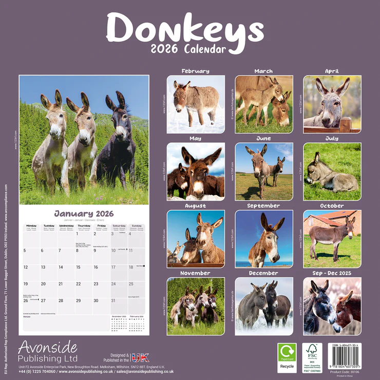 Calendar 2025 Donkeys - Jackasses