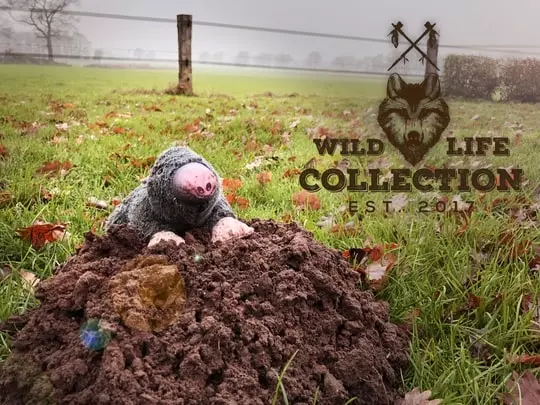 Wild Life Collection Maulwurf