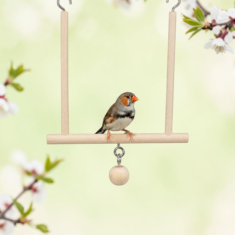 Un petit oiseau gris-brun au bec orange est perché sur une balançoire Trixie trapézoïdale en bois clair. Une boule en bois sert de clochette sous le perchoir. La balançoire est accrochée devant des feuilles vertes floues.