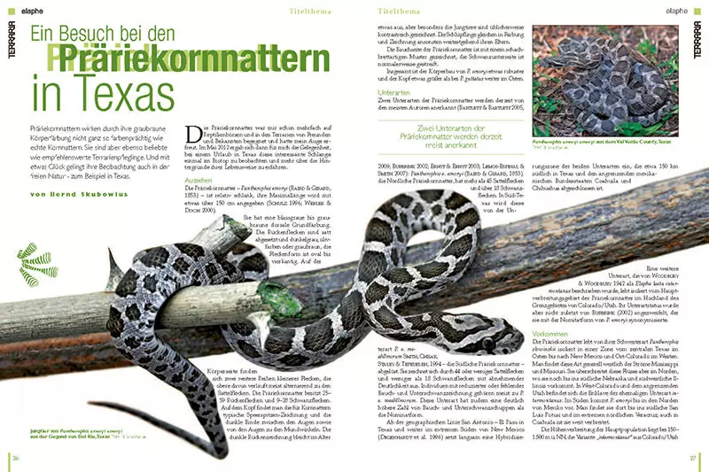 67a5dec4e3b2ad2bff0171e2784f1c45 Terraria 38 - Kornnattern natürlich schön!