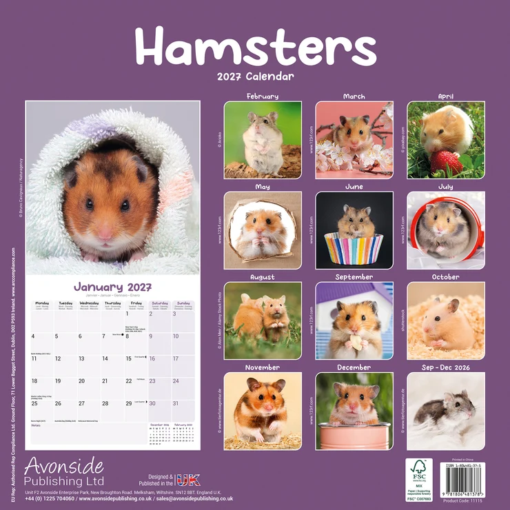 Kalender 2027 Hamster - Hamsters - Goldhamster