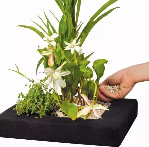 Floating Plant Island - quadratisch