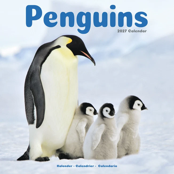 Kalender 2027 Pinguine - Pinguin - Penguins