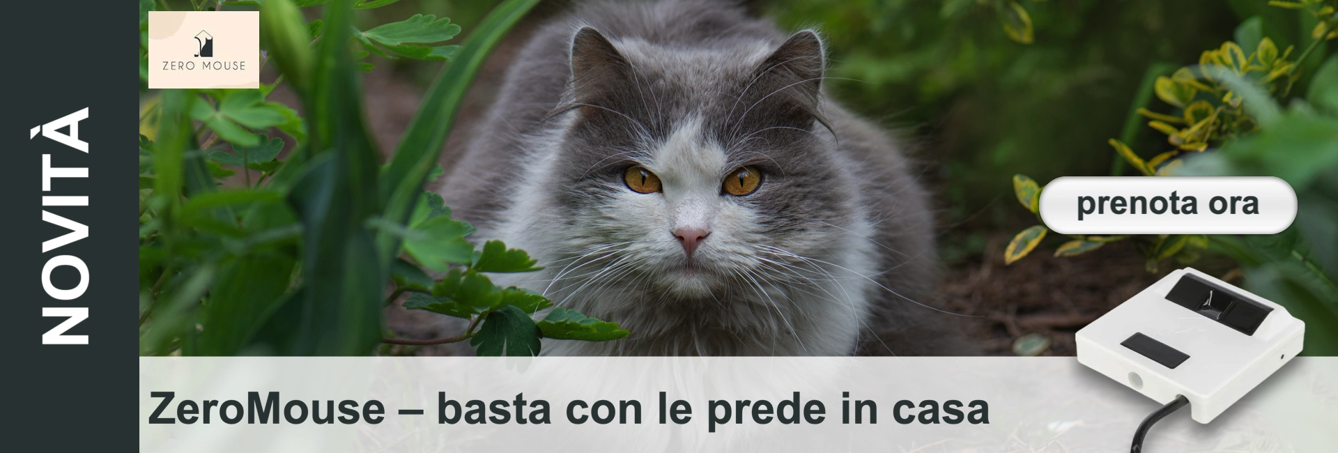 Un gatto soffice, grigio-bianco, con occhi giallo-arancio, spunta attento da un fitto fogliame verde. Il suo sguardo è diretto. In primo piano a destra si trova un piccolo dispositivo elettronico bianco con sensori e cavi.