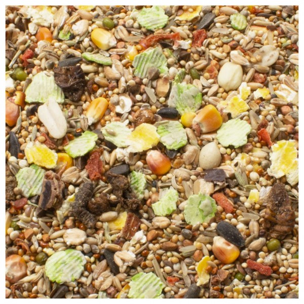 Nahaufnahme einer vielfältigen Futtermischung mit kleinen Körnern, Haferflocken, gelben Maisstücken, grünen und gelben Gemüsechips sowie dunklen Trockenfruchtstücken. Reichhaltige Textur und natürliche Farben.