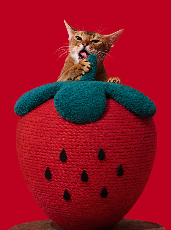 Balle à gratter fraise