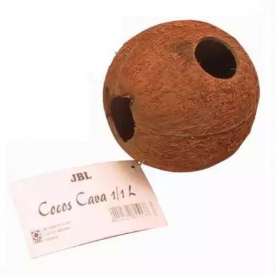 JBL Cocos Cava Cachette 