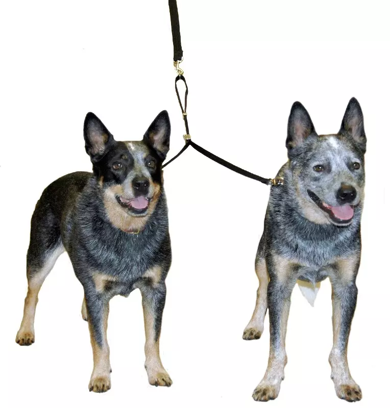 Double Dog Coupler