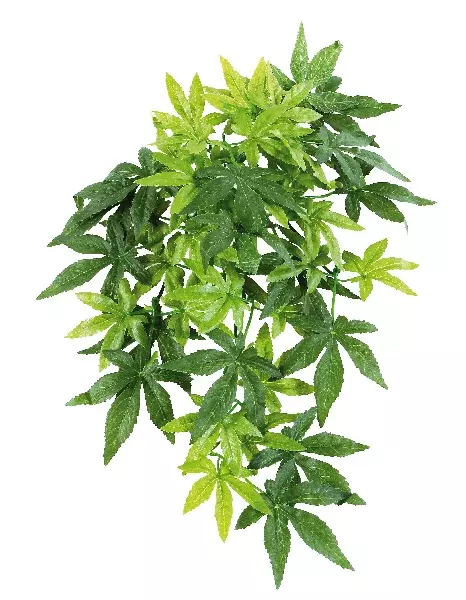 Amazonas Repti Fantasy Plant 007