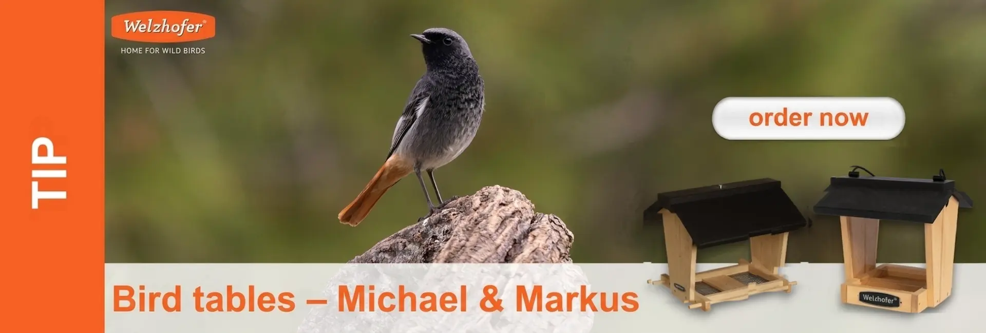 A grey bird with a black head and a reddish tail perched on a wooden stump against a blurred green background. On the right, two different wooden bird tables with dark roofs. Text reading ‘Bird tables – Michael & Markus’ and an ‘order now’ button.