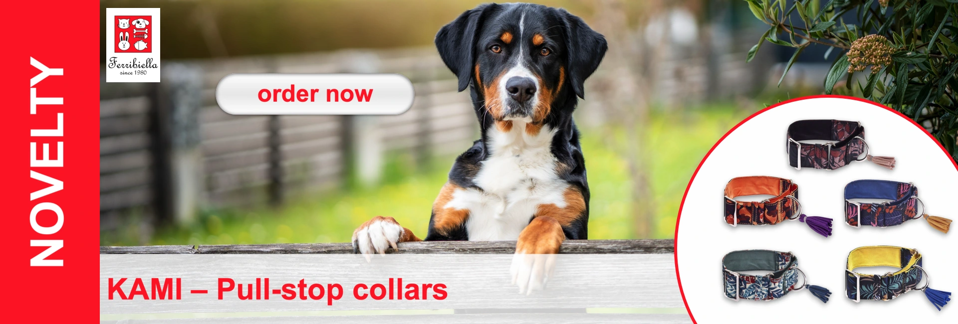 An Entlebuch mountain dog leans against a wooden barrier, behind it blurred nature. On the right: five dog collars with fringes.