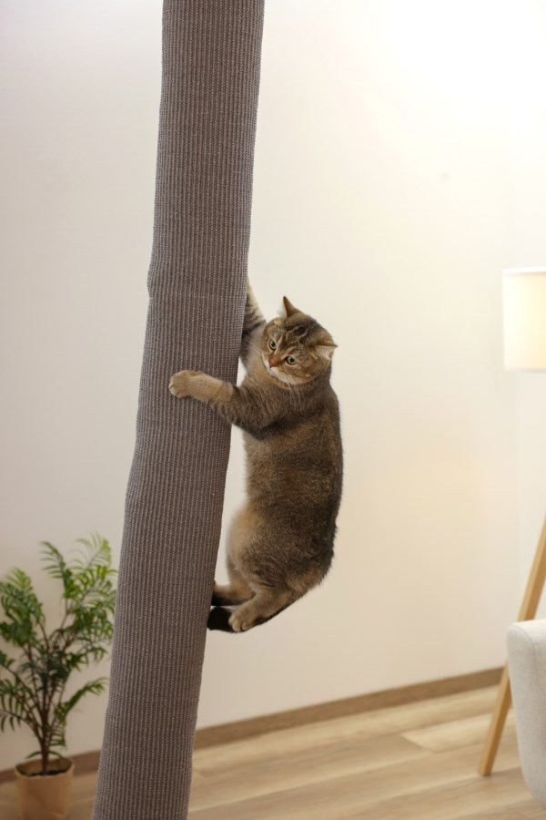 Sac d'escalade Climber