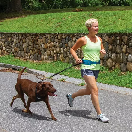 kurgo-rsg-active-utility-belt-3 Jogging Gurt