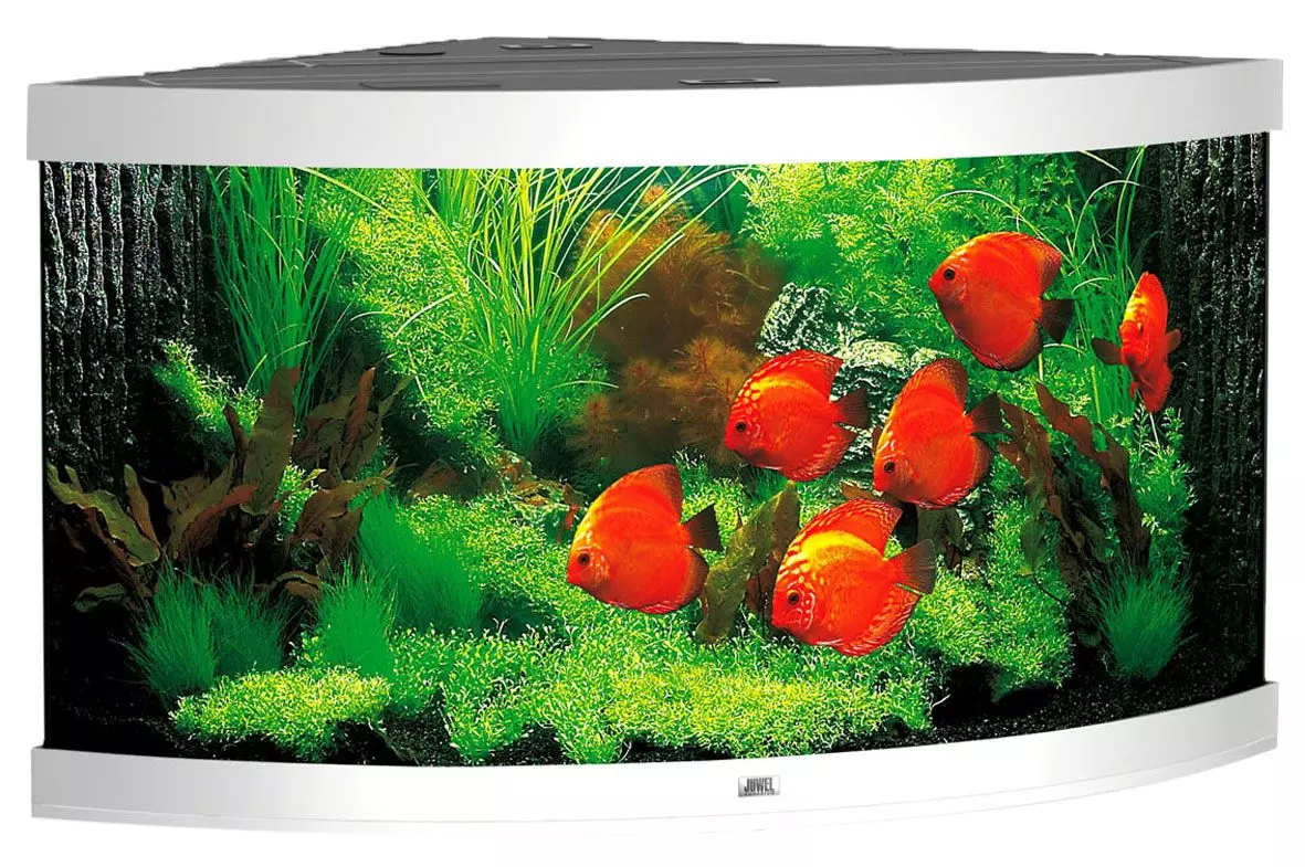 juwel-trigon-350-weiss-1 Juwel Trigon Aquarium