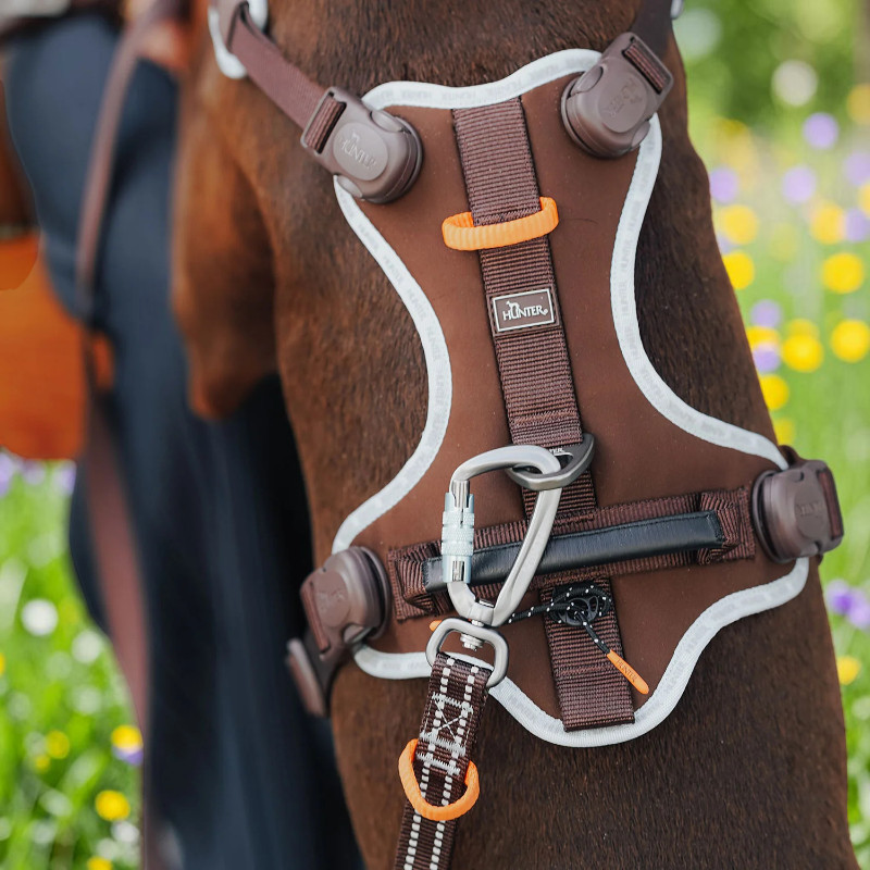 Brauner Hund trägt braunes HUNTER ErgoMove Pro Geschirr mit reflektierenden Kanten und orangefarbenen Akzenten. Alu-Karabiner an braun-weiß gestreifter Leine. Hintergrund: Wiese mit Blumen, unscharf.