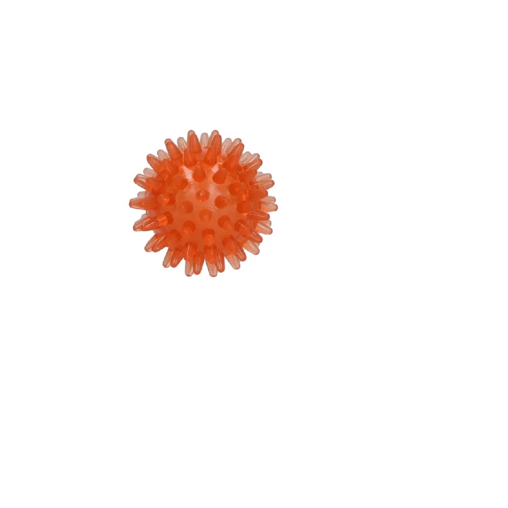 Dog Comets Exoplanet